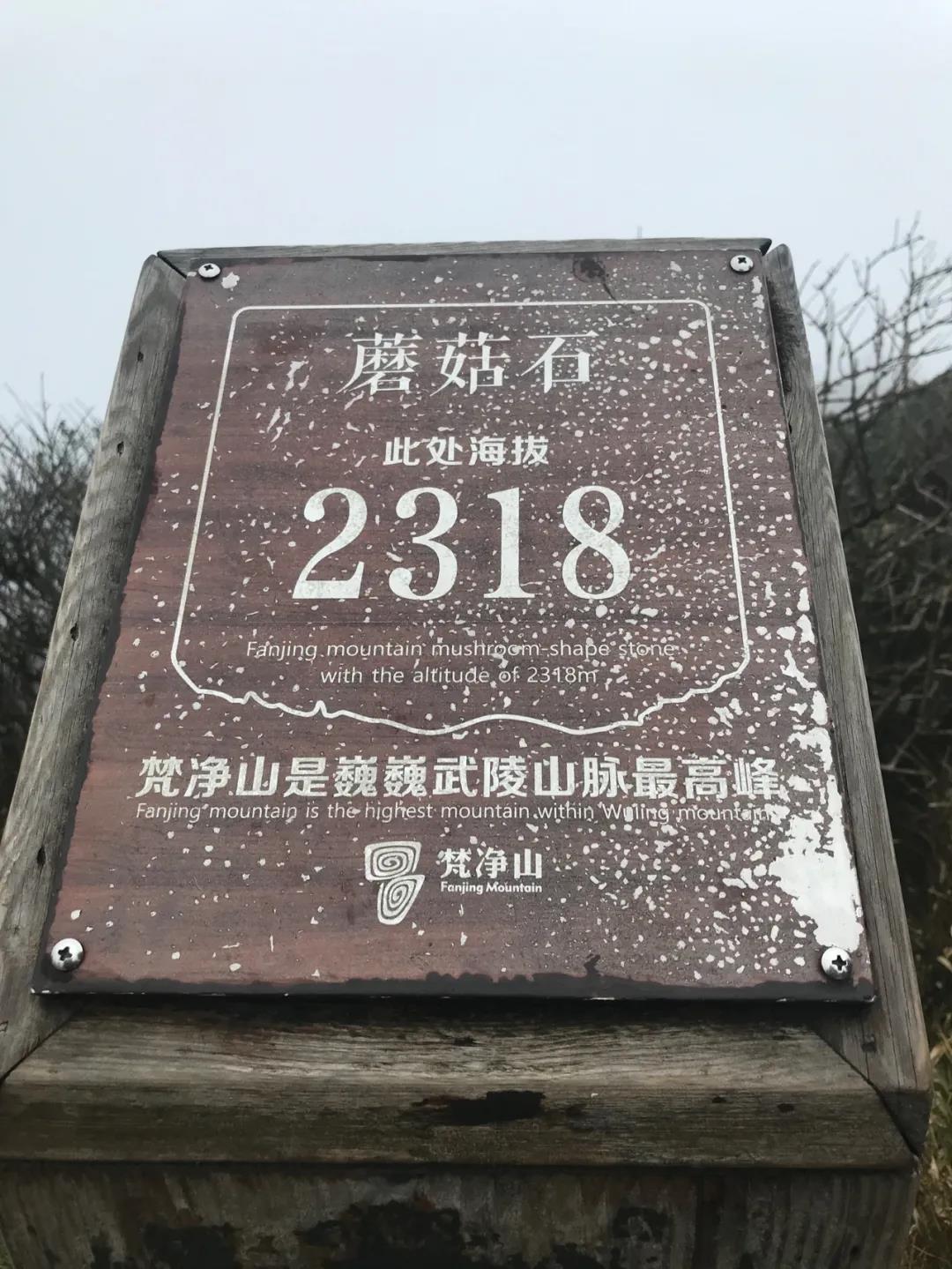 110018yxa9iwxiz5355itf.jpg